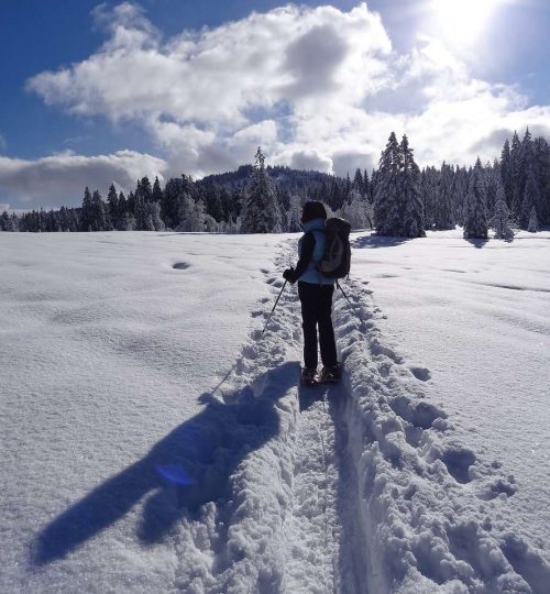 snow-1179652_1920_ Peter Trauter